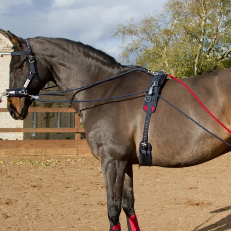 John Whitaker Training System