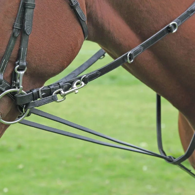 Shires Blenheim Market Harborough